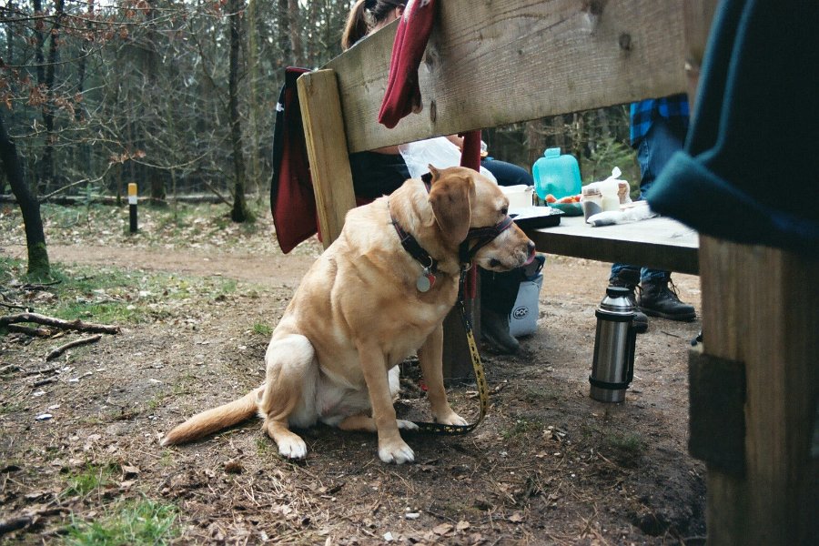 20040328 wandelen0005